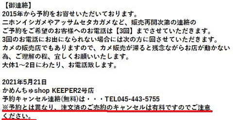 亀購入予約について 亀購入予約について