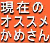 現在の オススメ かめさん