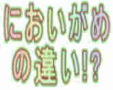 においがめ の違い!?