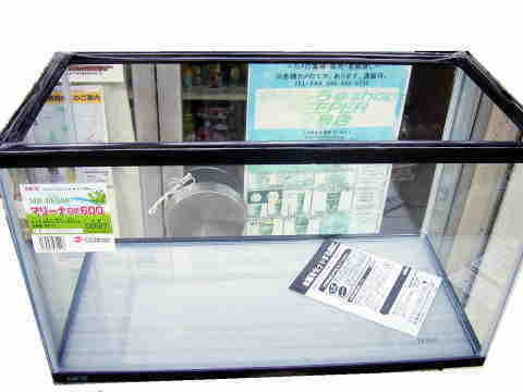 カメ用飼育水槽 単品 飼育セットなど 亀の飼育セット 通信販売