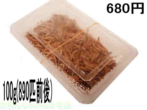 890CĂ̂li!~[100g 680~!