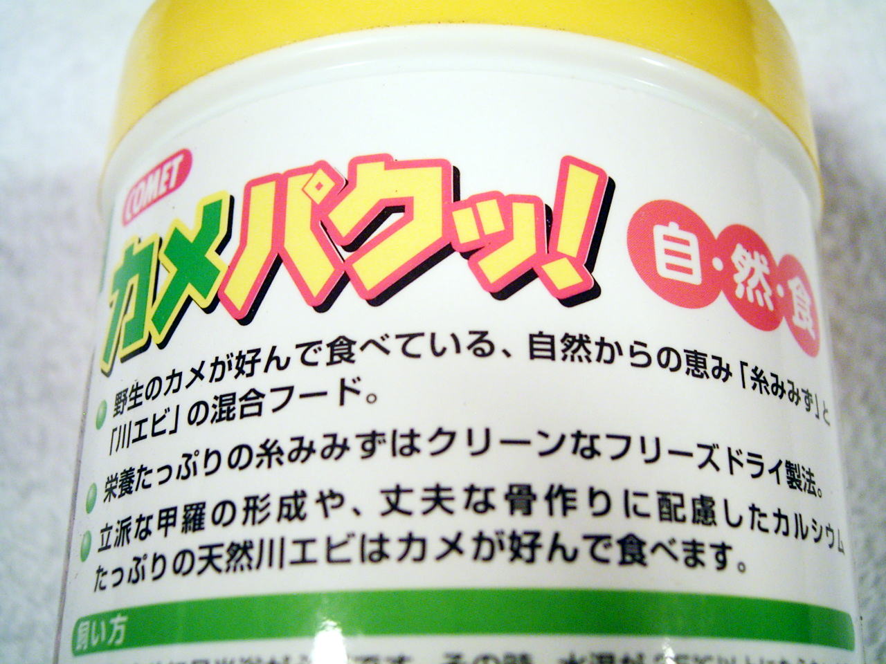 カメパクッ!野生の亀が好んで食べている、自然からのめぐみ。