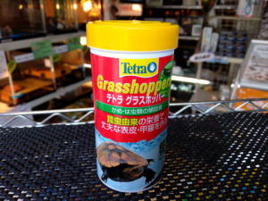 当店のカメ達もみんな大好きです!グラスホッパー(昆虫由来飼料) 当店のカメ達もみんな大好きです!グラスホッパー(昆虫由来飼料)