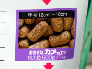 L[ ȃJ̃GT嗱500g/1kg