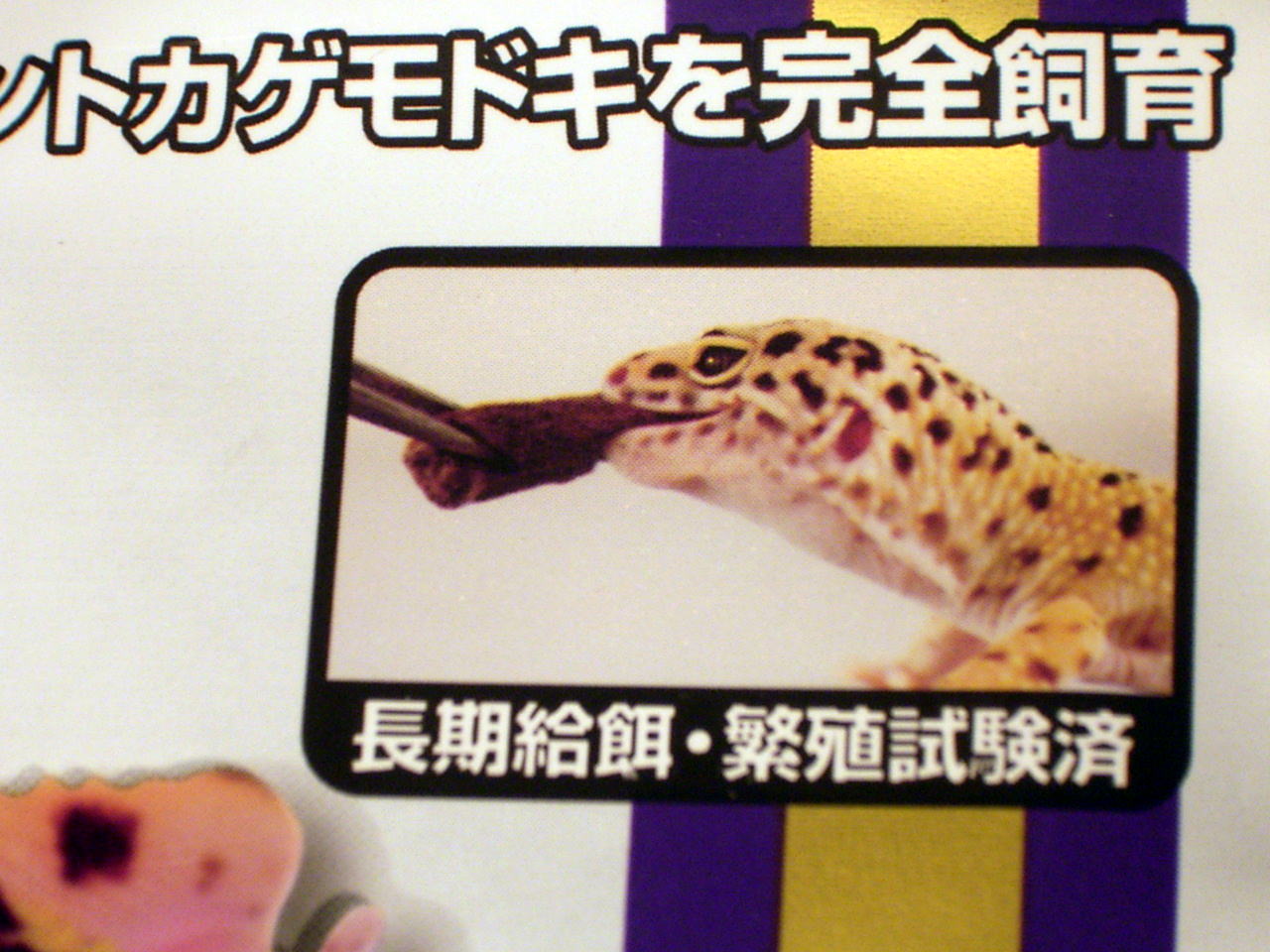 ���I�p�Q��60g�͒������a�E�ɐB�����ς�