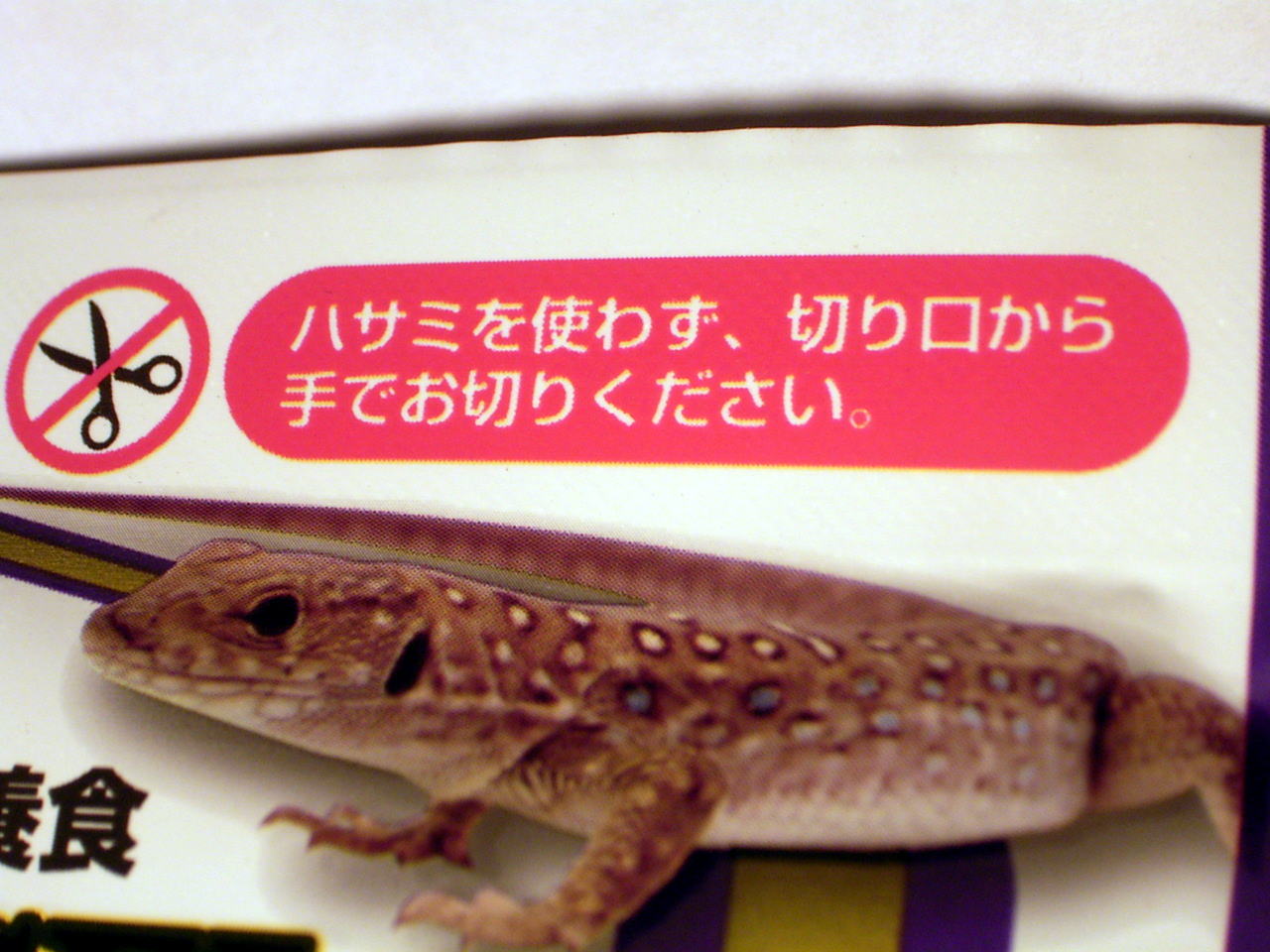 ���J�����̓n�T�~�s�v�� �L���[���� ���I�p�Q��60g