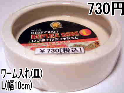 �X�h�[ ���v�^�C���f�B�b�V�� L