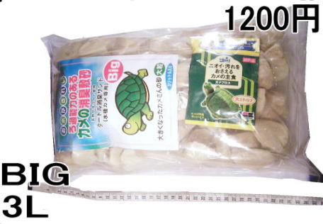 ���т��� �^�[�g�����L�T���hBIG�@3L