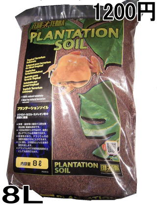 GEX�v�����e�[�V�����\�C��8L