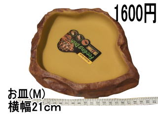 GEX �t�B�[�f�B���O�f�B�b�V��M