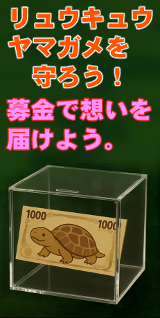 【YouTube】一般社団法人 沖縄カメセンター応援動画【かめんチューブ】