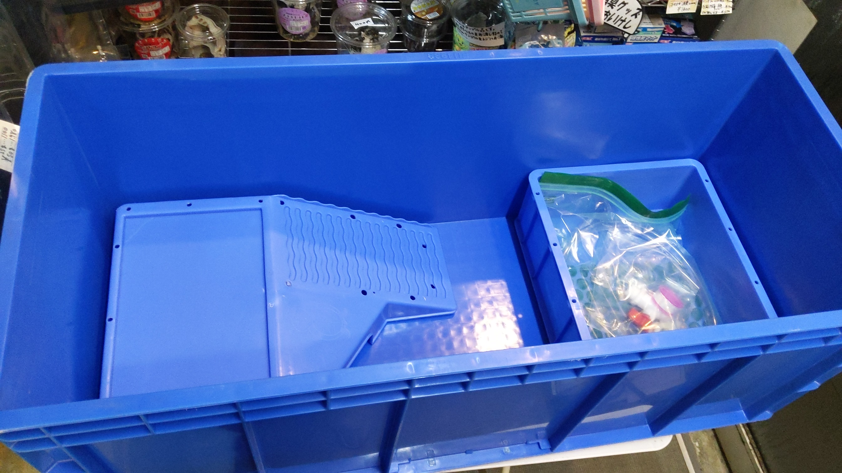 中古未使用 陸場付飼育ケース